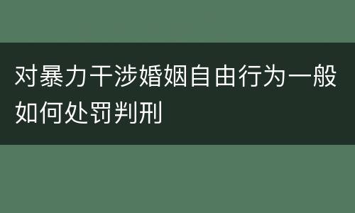 对暴力干涉婚姻自由行为一般如何处罚判刑