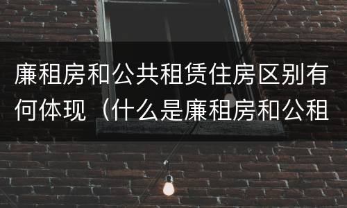 廉租房和公共租赁住房区别有何体现（什么是廉租房和公租房两个有什么特点）