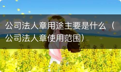 公司法人章用途主要是什么（公司法人章使用范围）