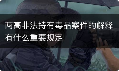 两高非法持有毒品案件的解释有什么重要规定
