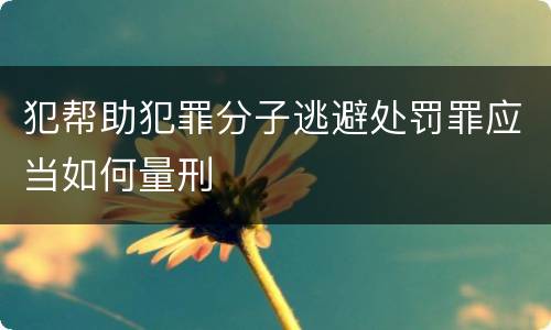 犯帮助犯罪分子逃避处罚罪应当如何量刑