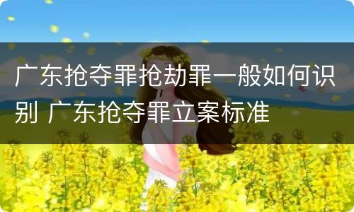 广东抢夺罪抢劫罪一般如何识别 广东抢夺罪立案标准