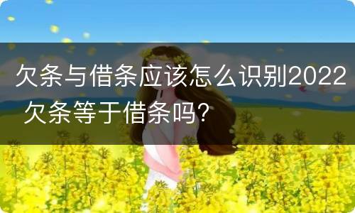 欠条与借条应该怎么识别2022 欠条等于借条吗?