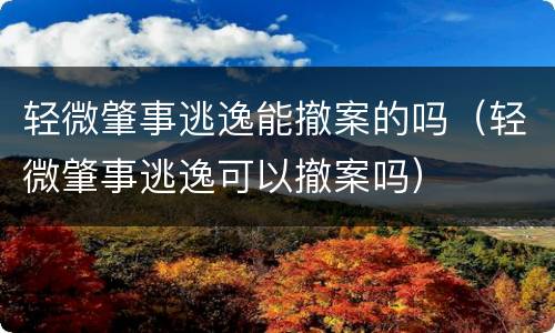 轻微肇事逃逸能撤案的吗（轻微肇事逃逸可以撤案吗）