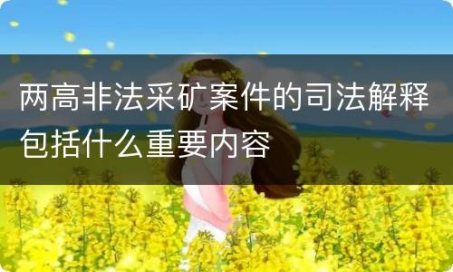 两高非法采矿案件的司法解释包括什么重要内容
