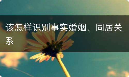 该怎样识别事实婚姻、同居关系