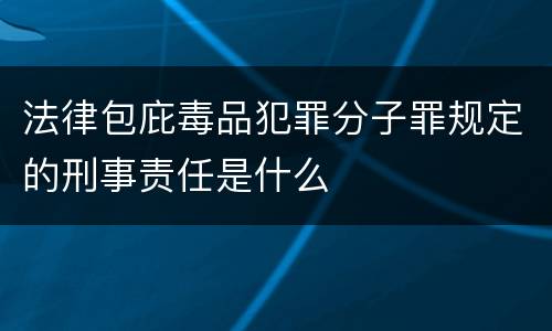 法律包庇毒品犯罪分子罪规定的刑事责任是什么