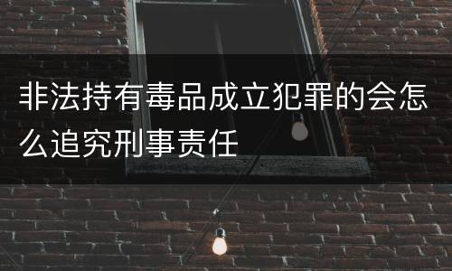 非法持有毒品成立犯罪的会怎么追究刑事责任