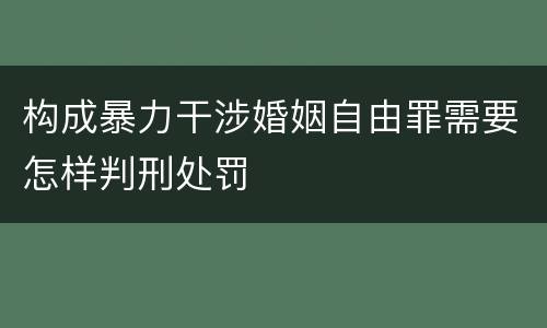 构成暴力干涉婚姻自由罪需要怎样判刑处罚