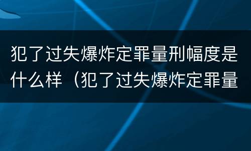 犯了过失爆炸定罪量刑幅度是什么样（犯了过失爆炸定罪量刑幅度是什么样子的）