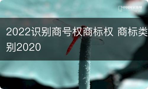2022识别商号权商标权 商标类别2020