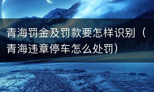 青海罚金及罚款要怎样识别（青海违章停车怎么处罚）