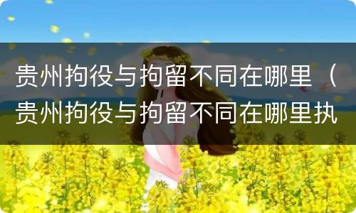 贵州拘役与拘留不同在哪里（贵州拘役与拘留不同在哪里执行）