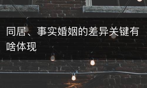 同居、事实婚姻的差异关键有啥体现