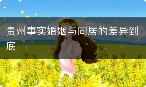 贵州事实婚姻与同居的差异到底