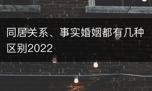同居关系、事实婚姻都有几种区别2022