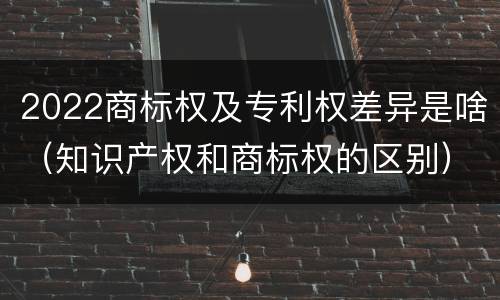 2022商标权及专利权差异是啥（知识产权和商标权的区别）