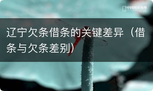 辽宁欠条借条的关键差异（借条与欠条差别）
