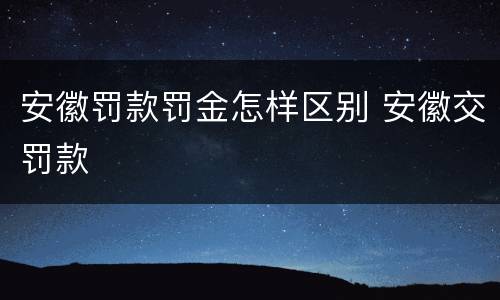 安徽罚款罚金怎样区别 安徽交罚款