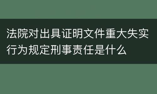 法院对出具证明文件重大失实行为规定刑事责任是什么