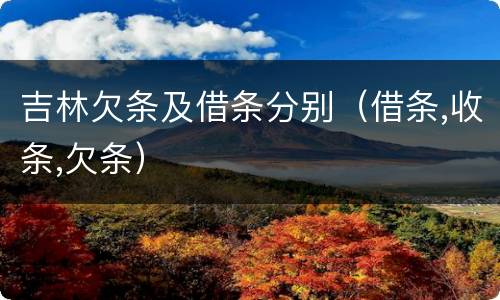 吉林欠条及借条分别（借条,收条,欠条）