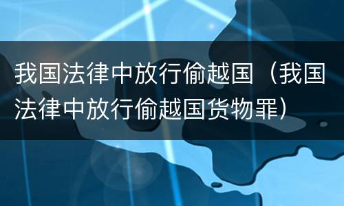 我国法律中放行偷越国（我国法律中放行偷越国货物罪）