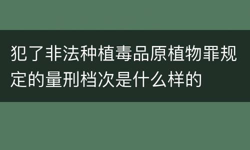 犯了非法种植毒品原植物罪规定的量刑档次是什么样的