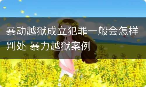暴动越狱成立犯罪一般会怎样判处 暴力越狱案例