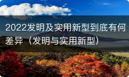 2022发明及实用新型到底有何差异（发明与实用新型）