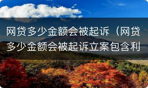 网贷多少金额会被起诉（网贷多少金额会被起诉立案包含利息么）