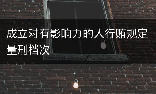 成立对有影响力的人行贿规定量刑档次