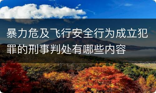 暴力危及飞行安全行为成立犯罪的刑事判处有哪些内容