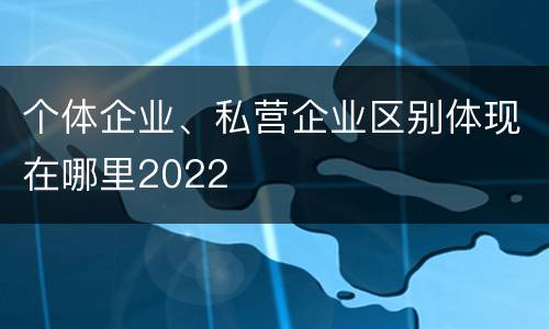 个体企业、私营企业区别体现在哪里2022