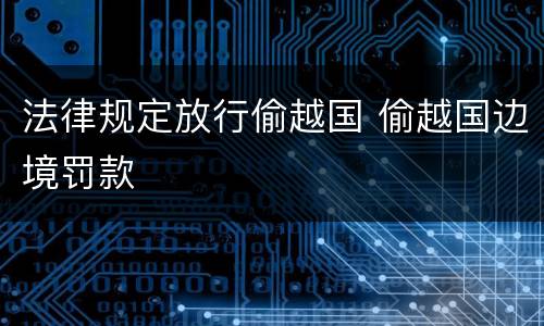 法律规定放行偷越国 偷越国边境罚款