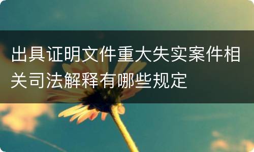 出具证明文件重大失实案件相关司法解释有哪些规定