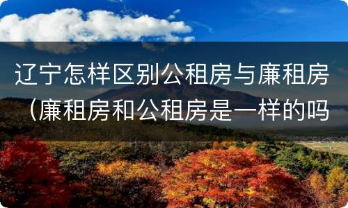 辽宁怎样区别公租房与廉租房（廉租房和公租房是一样的吗）
