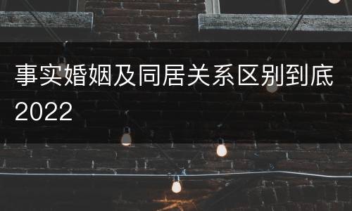 事实婚姻及同居关系区别到底2022