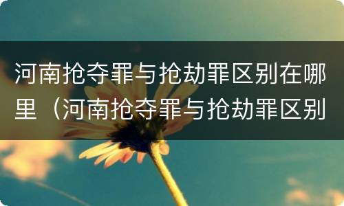 河南抢夺罪与抢劫罪区别在哪里（河南抢夺罪与抢劫罪区别在哪里呢）