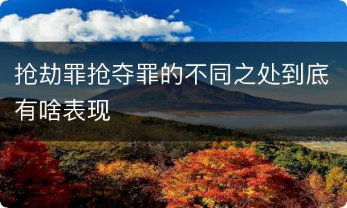 抢劫罪抢夺罪的不同之处到底有啥表现