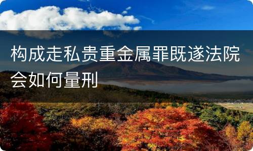构成走私贵重金属罪既遂法院会如何量刑
