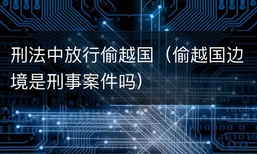 刑法中放行偷越国（偷越国边境是刑事案件吗）