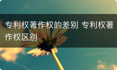 专利权著作权的差别 专利权著作权区别