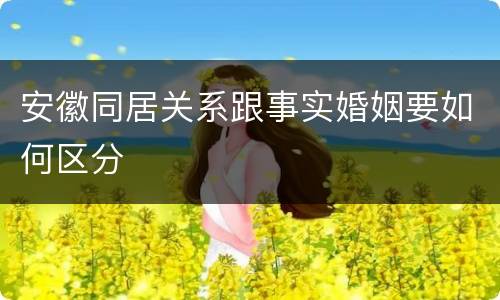 安徽同居关系跟事实婚姻要如何区分
