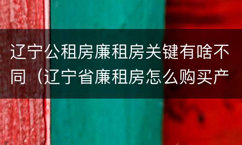 辽宁公租房廉租房关键有啥不同（辽宁省廉租房怎么购买产权）
