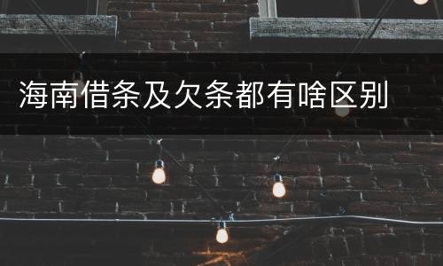 海南借条及欠条都有啥区别