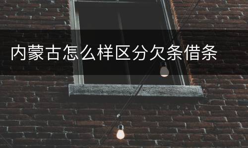 内蒙古怎么样区分欠条借条