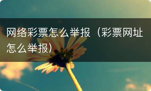 网络彩票怎么举报（彩票网址怎么举报）