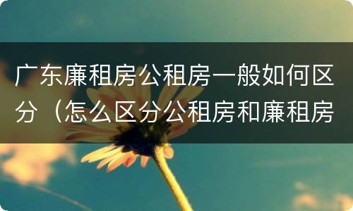 广东廉租房公租房一般如何区分（怎么区分公租房和廉租房）