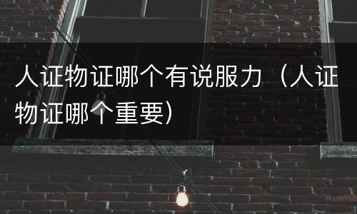 人证物证哪个有说服力（人证物证哪个重要）