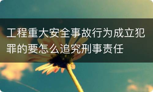工程重大安全事故行为成立犯罪的要怎么追究刑事责任